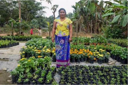 Kriseni Marak-- Building an enterprise on Flowers in North Garo Hills District 