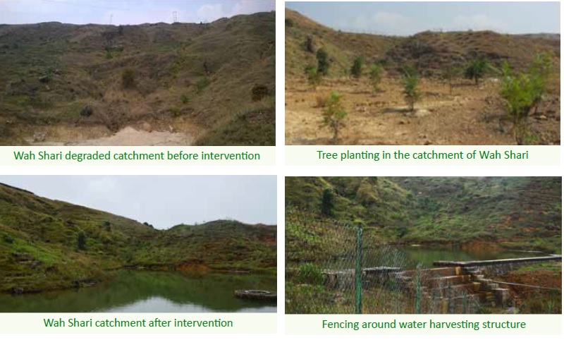 Springshed initiative, wahshari, Khliehshnong village, east khasi hills district