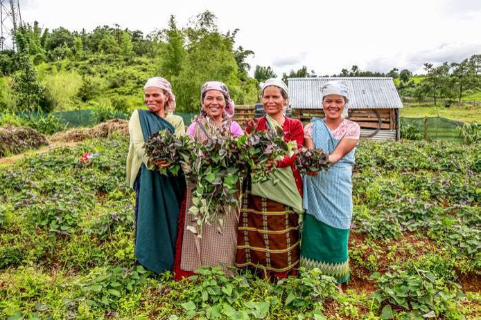How a group of individuals are sustainably reviving a nearly 300-yr-old village in Jaintia Hills