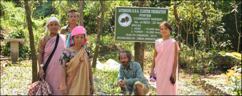 A case study of the community nursery under the TEHSONGLANG CLF, Pynter (East khasi hills district)